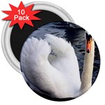 swan 3  Magnet (10 pack)