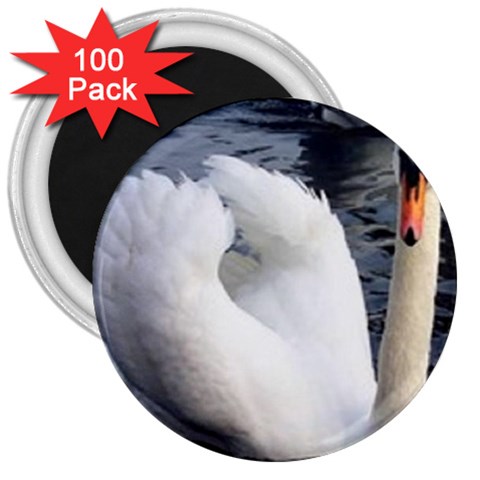 swan 3  Magnet (100 pack) from UrbanLoad.com Front