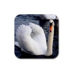 swan Rubber Square Coaster (4 pack)