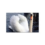 swan Sticker (Rectangular)