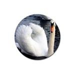 swan Magnet 3  (Round)