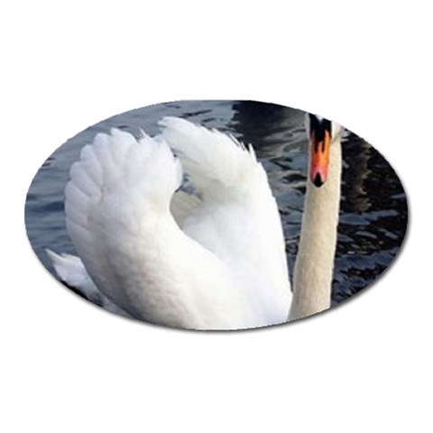 swan Magnet (Oval) from UrbanLoad.com Front