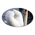 swan Magnet (Oval)