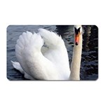 swan Magnet (Rectangular)