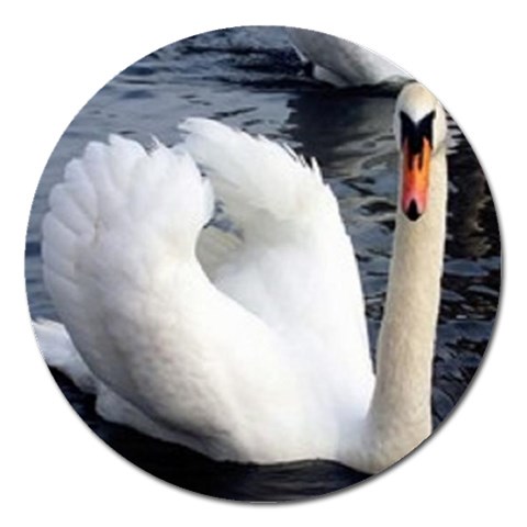swan Magnet 5  (Round) from UrbanLoad.com Front