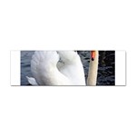 swan Sticker Bumper (100 pack)