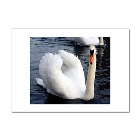 swan Sticker A4 (10 pack) from UrbanLoad.com Front