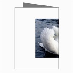 swan Greeting Cards (Pkg of 8) from UrbanLoad.com Right