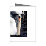 swan Mini Greeting Cards (Pkg of 8)