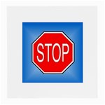 stopsign Glasses Cloth (Medium)