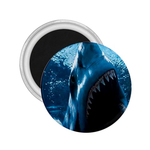shark 2.25  Magnet from UrbanLoad.com Front