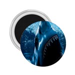 shark 2.25  Magnet