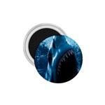 shark 1.75  Magnet