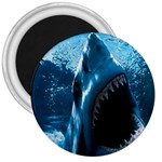 shark 3  Magnet