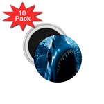 shark 1.75  Magnet (10 pack) 