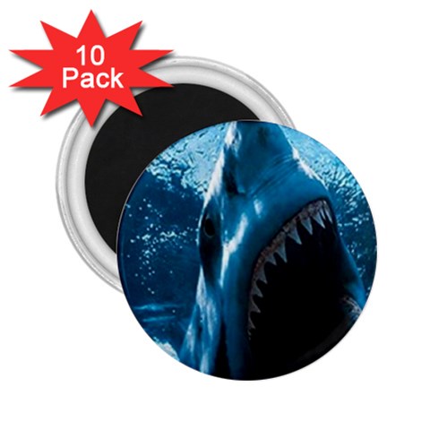 shark 2.25  Magnet (10 pack) from UrbanLoad.com Front