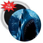 shark 3  Magnet (10 pack)