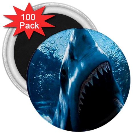 shark 3  Magnet (100 pack) from UrbanLoad.com Front