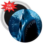 shark 3  Magnet (100 pack)