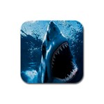 shark Rubber Square Coaster (4 pack)