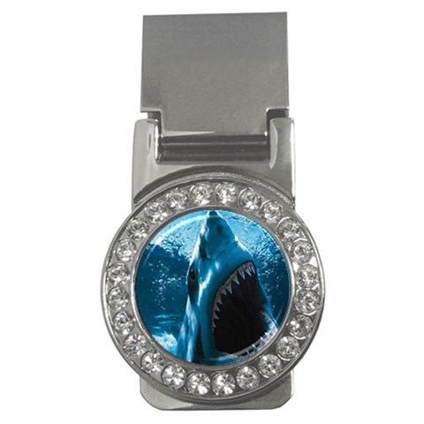 shark Money Clip (CZ) from UrbanLoad.com Front