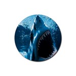 shark Rubber Round Coaster (4 pack)