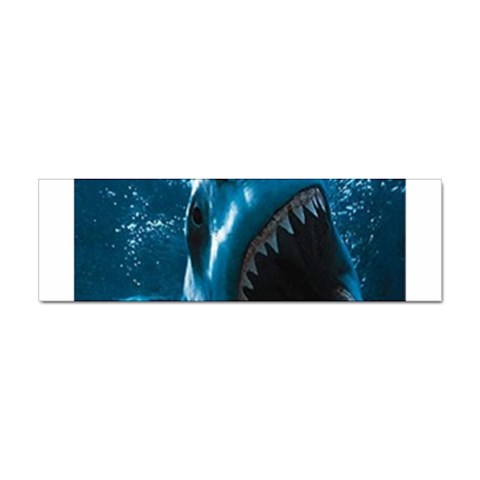 shark Sticker (Bumper) from UrbanLoad.com Front