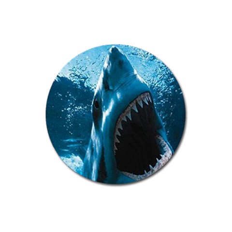 shark Magnet 3  (Round) from UrbanLoad.com Front