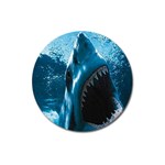 shark Magnet 3  (Round)