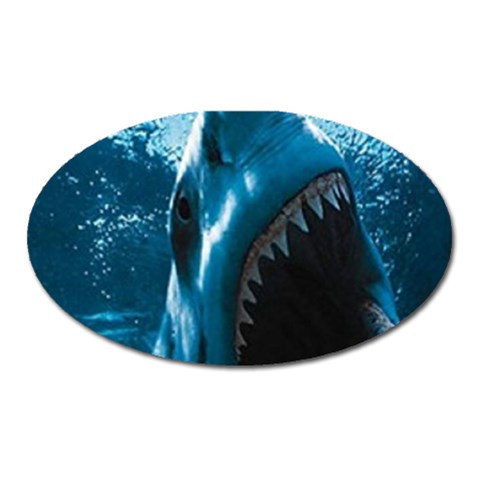 shark Magnet (Oval) from UrbanLoad.com Front