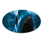shark Magnet (Oval)