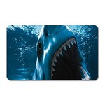 shark Magnet (Rectangular)