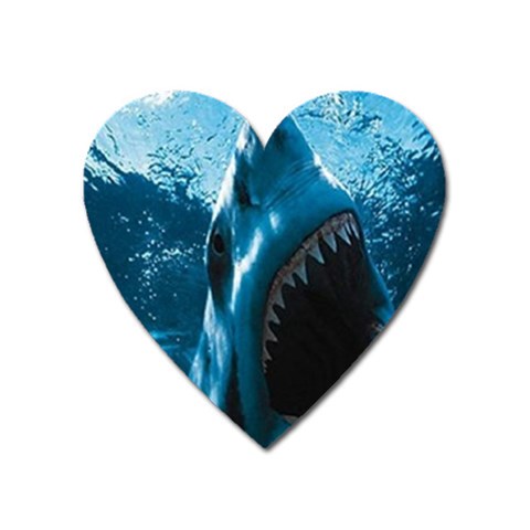 shark Magnet (Heart) from UrbanLoad.com Front