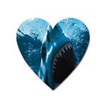 shark Magnet (Heart)