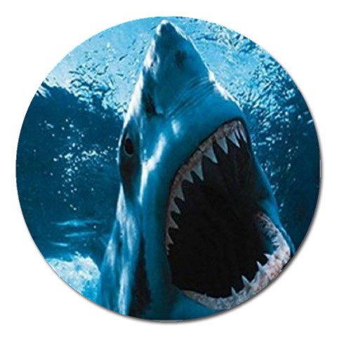 shark Magnet 5  (Round) from UrbanLoad.com Front