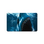 shark Magnet (Name Card)