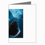 shark Greeting Cards (Pkg of 8)