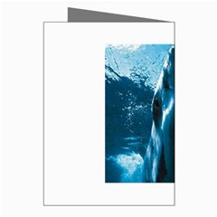 shark Greeting Cards (Pkg of 8) from UrbanLoad.com Right