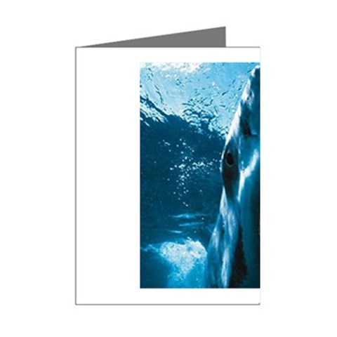 shark Mini Greeting Cards (Pkg of 8) from UrbanLoad.com Right