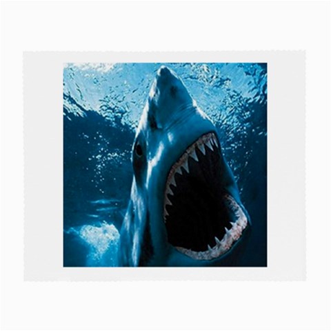 shark Glasses Cloth (Small) from UrbanLoad.com Front