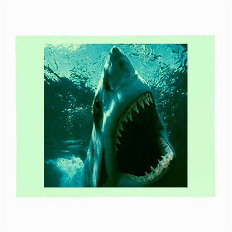shark Glasses Cloth (Small) from UrbanLoad.com Front