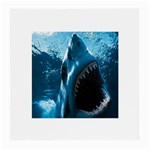 shark Glasses Cloth (Medium)