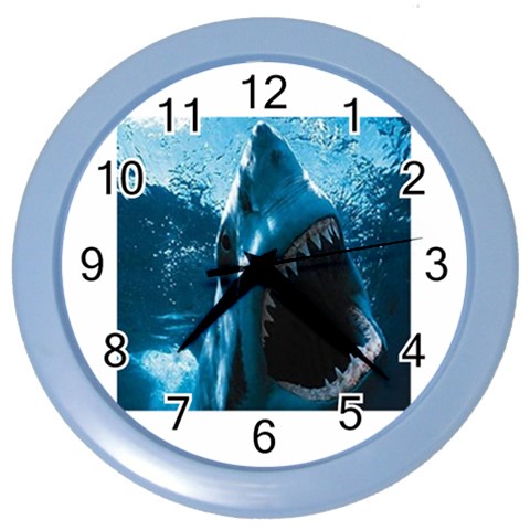 shark Color Wall Clock from UrbanLoad.com Front