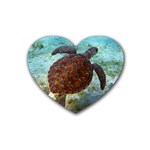 sea_turtle Rubber Coaster (Heart)