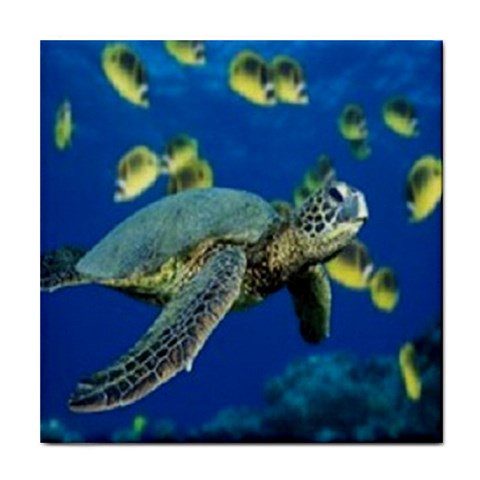 sea turtle Tile Coaster from UrbanLoad.com Front