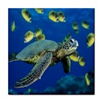 sea turtle Tile Coaster