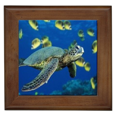 sea turtle Framed Tile from UrbanLoad.com Front