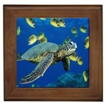 sea turtle Framed Tile