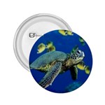 sea turtle 2.25  Button