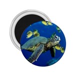 sea turtle 2.25  Magnet